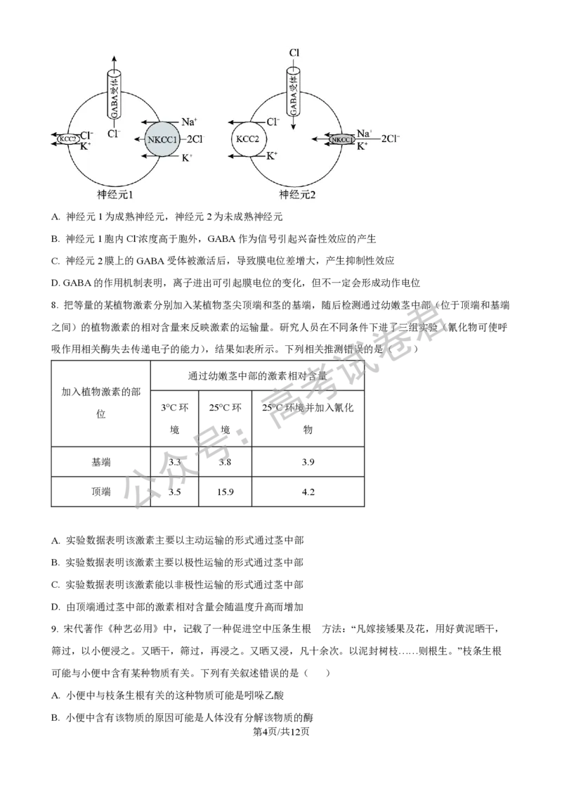 《06_生物_2025-2026学年度河北石家庄第一中学高三上学期9月摸底考试_试卷+答案_小初高学习资料合集（每天更新）_河北石家庄第一中学2025-2026学年高三上学期9月摸底考试》第4页预览