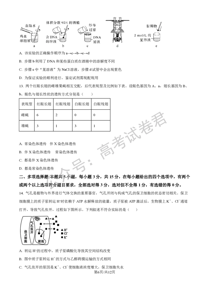 《06_生物_2025-2026学年度河北石家庄第一中学高三上学期9月摸底考试_试卷+答案_小初高学习资料合集（每天更新）_河北石家庄第一中学2025-2026学年高三上学期9月摸底考试》第6页预览