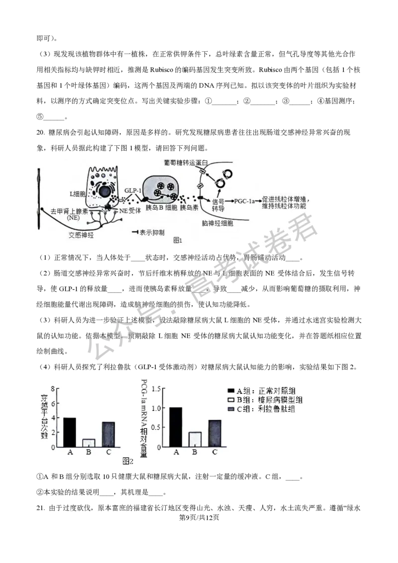 《06_生物_2025-2026学年度河北石家庄第一中学高三上学期9月摸底考试_试卷+答案_小初高学习资料合集（每天更新）_河北石家庄第一中学2025-2026学年高三上学期9月摸底考试》第9页预览