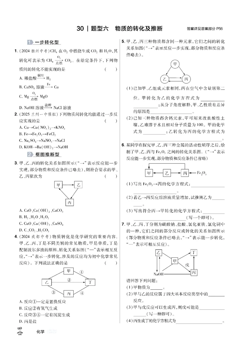 《2026《中考化学45套》甘肃题型小卷_12.2026年4月全国各地高考模拟卷_2026版初中金考卷•45套中考试卷汇编系列合集_2026《天星教育•金考卷中考45套汇编》（中考）（甘肃版）》第10页预览