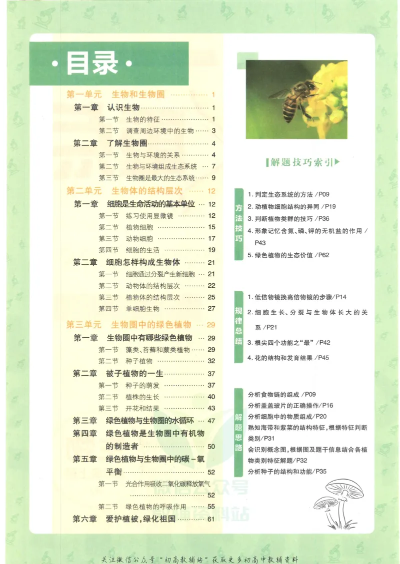 《初中必刷题七年级上册生物人教版狂K重点_2、2025初中必刷题合集_初中必刷题23+24+25上册_2023版》第4页预览