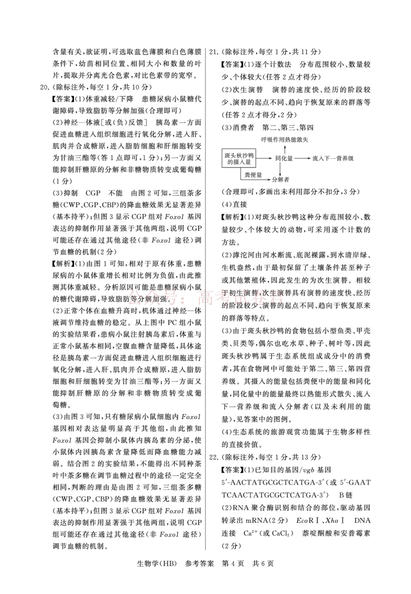 《八省T8联考2026届高三年级四月阶段练习生物(HB)答案_副本(1)_12.2026年4月全国各地高考模拟卷_2026年4月_2026届河北T8联考高三下学期4月联合测评》第4页预览