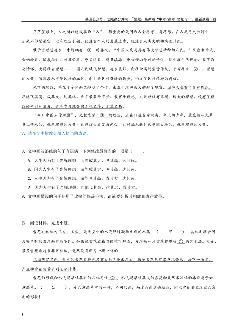 《28（语言文字运用）词语选用分析（学生版）_专项复习_2025年_2025年高考语文题型全练点对点（新高考地区通用）_资料》第3页预览