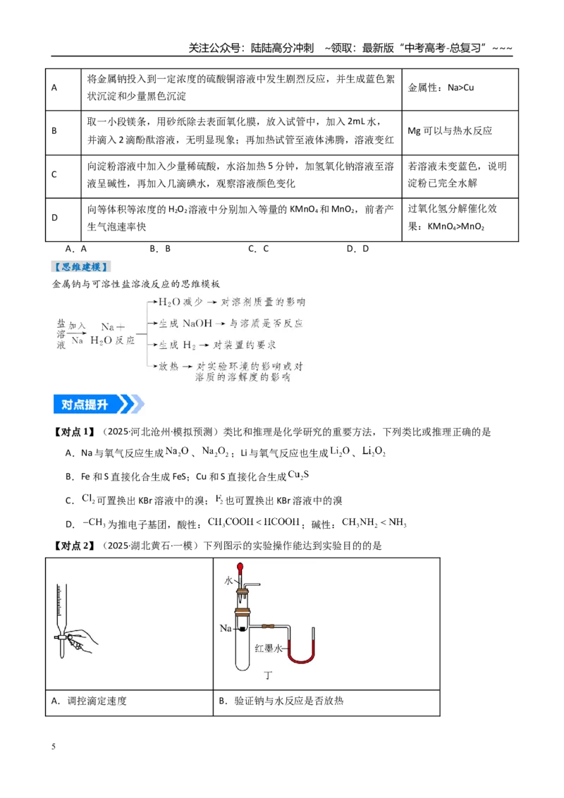 《专题01钠及其重要化合物（高效培优讲义）（学生版）_05-化学-高考总复习_一轮复习_2026年-化学高考一轮复习_2026年高考化学一轮复习考点精讲精练（新高考通用）-G58_2026版》第5页预览