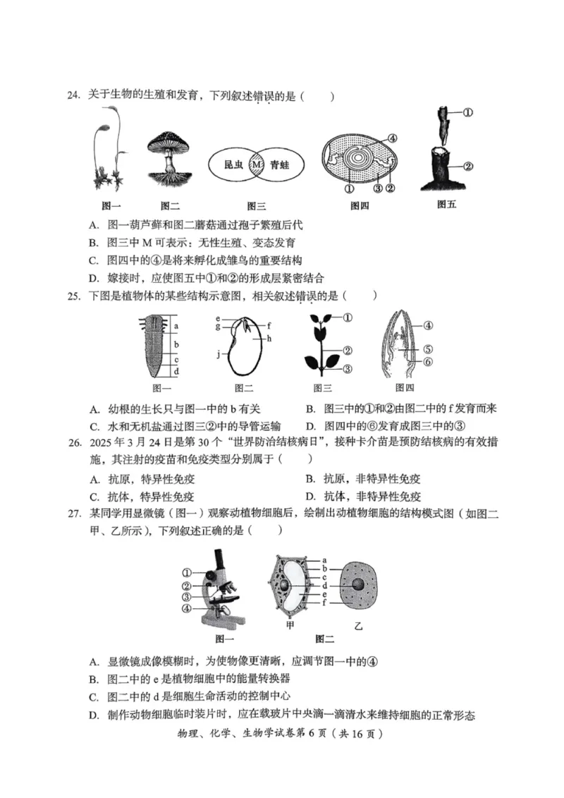 《2025年四川省达州市中考物理化学生物真题_12.2026年4月全国各地高考模拟卷_2026版初中金考卷•45套中考试卷汇编系列合集_全国版中考真题(1)_2025年全国中考真题答案(按省市分类)(10)》第6页预览