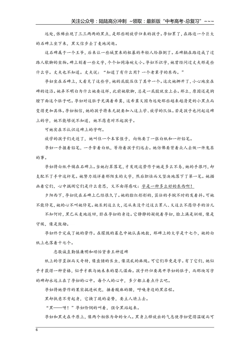 《2009年海南高考语文试题及答案_专项复习_2026年-语文专项复习_2008年-2025年语文高考真题_2008-2020年高考_地方卷_海南高考语文08-21_A4word版_答案版》第6页预览