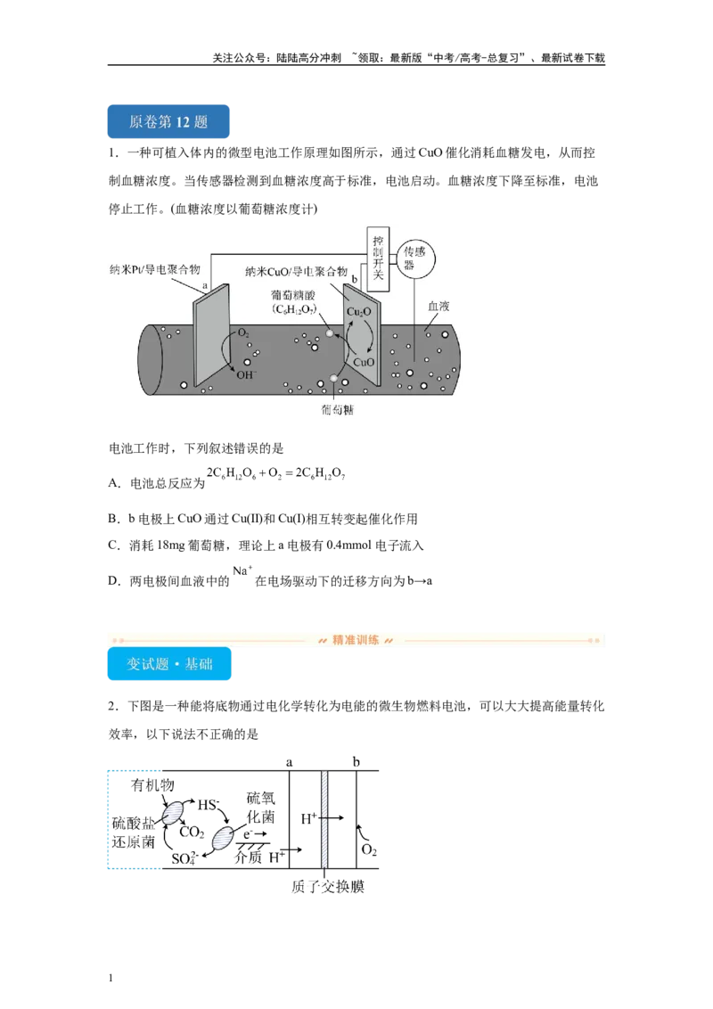 《2024年新课标卷T12-电化学基础变式题_05-化学-高考总复习_专项复习_2024年_2024年化学真题变式题》第1页预览