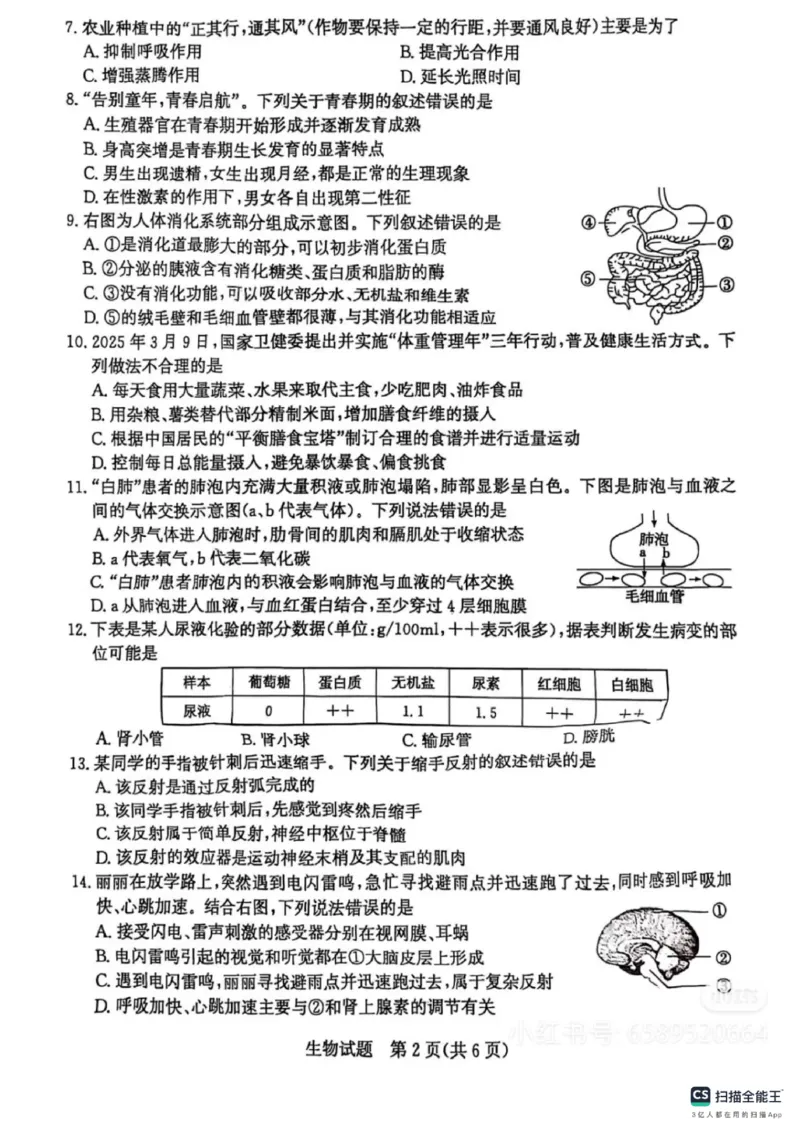 《2025年山东省聊城市中考生物真题及答案_12.2026年4月全国各地高考模拟卷_2026版初中金考卷•45套中考试卷汇编系列合集_全国版中考真题_2025年全国中考真题答案(按省市分类)(10)_山东省_238》第2页预览