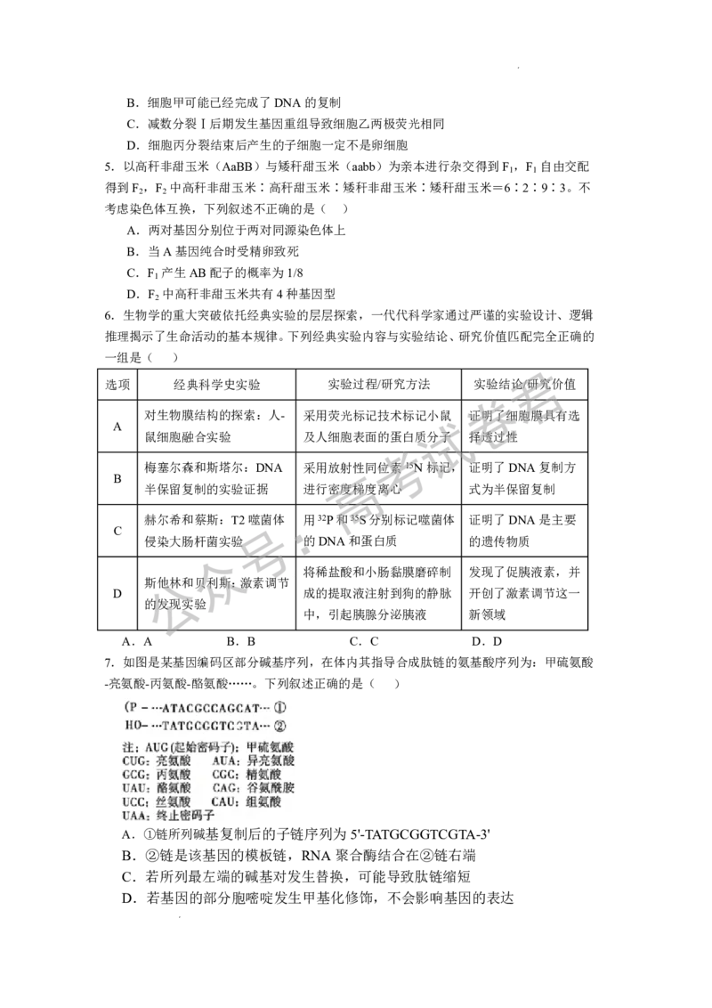 《06_生物_湖北荆州中学2026-2027年高三上学期起点考试_试卷+答案_小初高学习资料合集（每天更新）_湖北荆州中学2026-2027年高三上学期起点考试》第2页预览