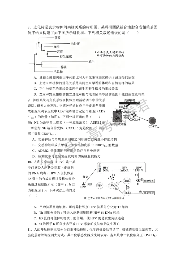 《06_生物_湖北荆州中学2026-2027年高三上学期起点考试_试卷+答案_小初高学习资料合集（每天更新）_湖北荆州中学2026-2027年高三上学期起点考试》第3页预览