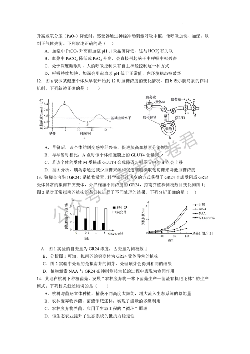 《06_生物_湖北荆州中学2026-2027年高三上学期起点考试_试卷+答案_小初高学习资料合集（每天更新）_湖北荆州中学2026-2027年高三上学期起点考试》第4页预览