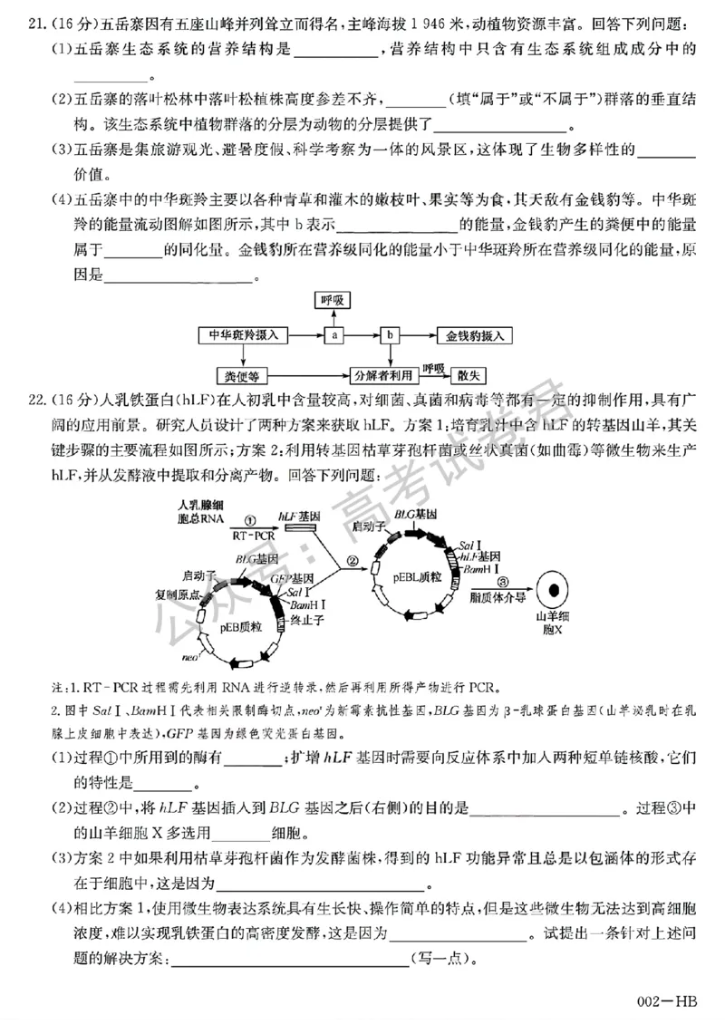 《11_生物_湖北武汉市九师联盟2026-2027年高三上学期8月联考暨开学联考_试卷+答案_小初高学习资料合集(每天更新)_湖北武汉市九师联盟2026-2027年高三上学期8月联考暨开学联考》第6页预览