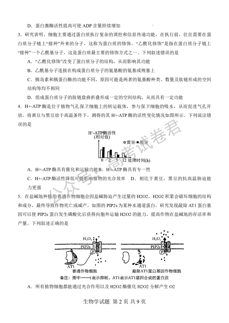 《06_生物_河南信阳市五校协作体2026-2027年高三年级9月供题_试卷_小初高学习资料合集（每天更新）_河南信阳市五校协作体2026-2027年高三年级9月供题》第2页预览