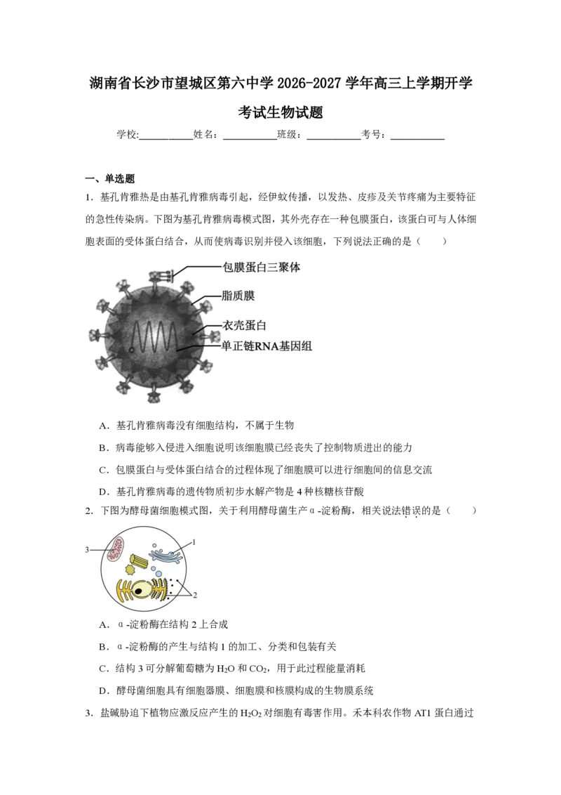 《05_生物_湖南长沙市望城区第六中学2026-2027学年高三上学期开学检测_试卷+答案_小初高学习资料合集（每天更新）_湖南长沙市望城区第六中学2026-2027学年高三上学期开学检测》第1页预览