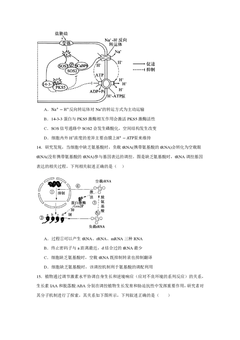 《05_生物_湖南长沙市望城区第六中学2026-2027学年高三上学期开学检测_试卷+答案_小初高学习资料合集（每天更新）_湖南长沙市望城区第六中学2026-2027学年高三上学期开学检测》第6页预览