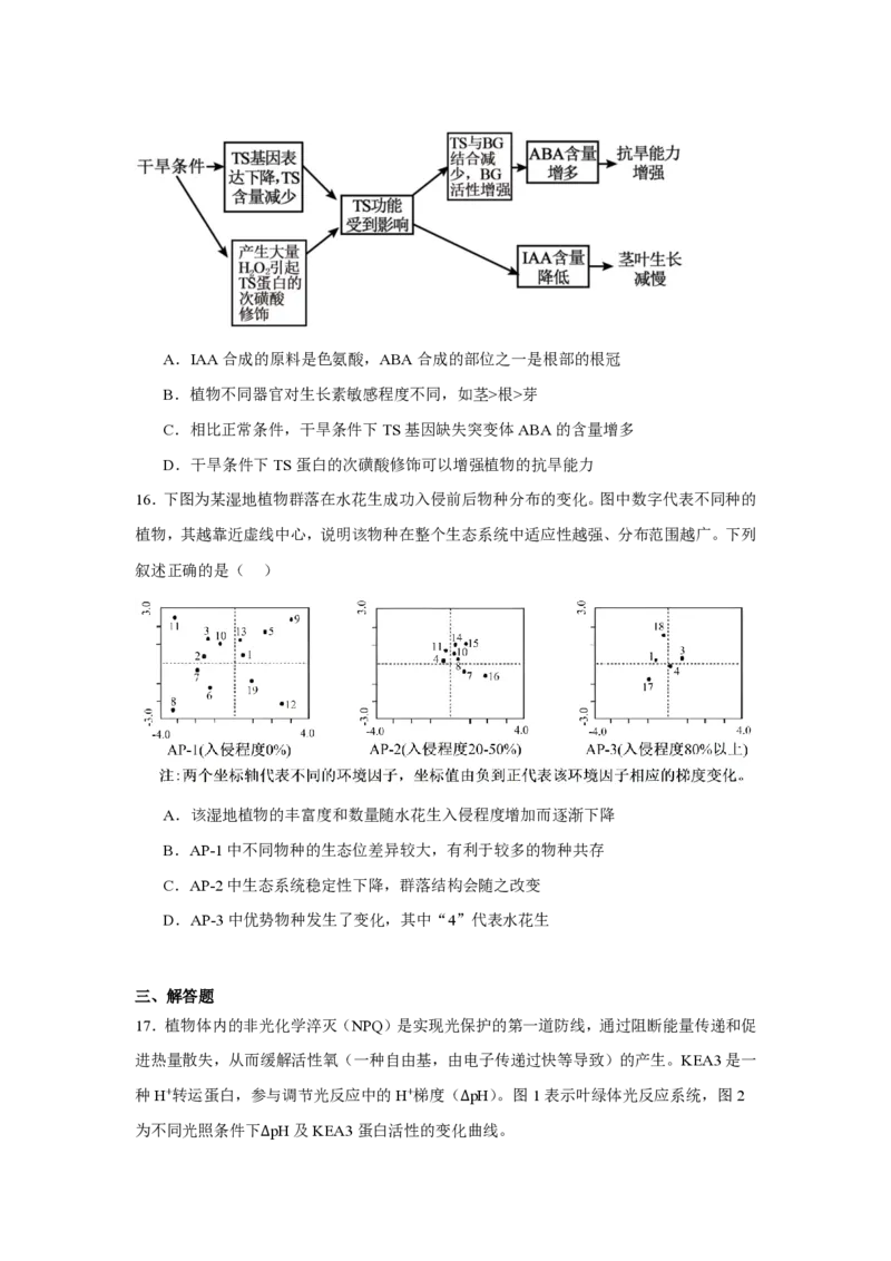 《05_生物_湖南长沙市望城区第六中学2026-2027学年高三上学期开学检测_试卷+答案_小初高学习资料合集（每天更新）_湖南长沙市望城区第六中学2026-2027学年高三上学期开学检测》第7页预览