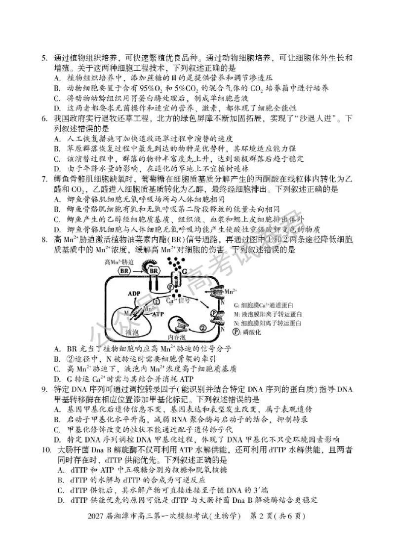 《06_生物_湖南湘潭市2026-2027年高三第一次模拟考试_试卷+答案_小初高学习资料合集(每天更新)_湖南湘潭市2026-2027年高三第一次模拟考试》第2页预览