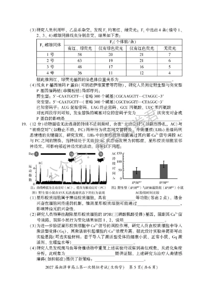 《06_生物_湖南湘潭市2026-2027年高三第一次模拟考试_试卷+答案_小初高学习资料合集(每天更新)_湖南湘潭市2026-2027年高三第一次模拟考试》第5页预览