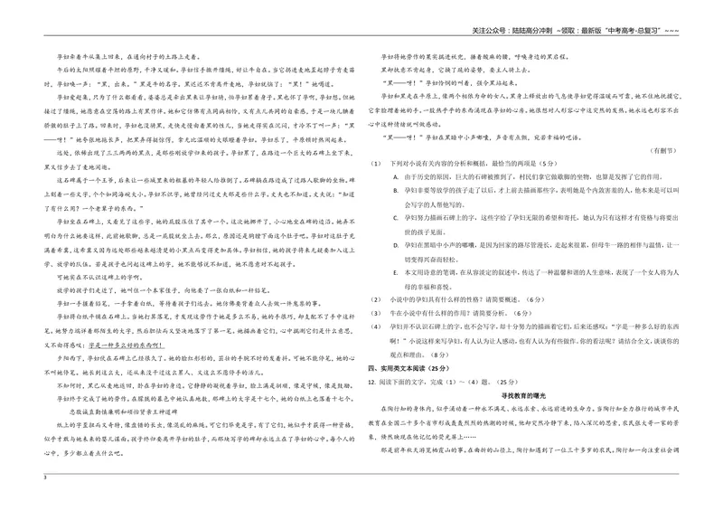 《2009年海南高考语文试题及答案_专项复习_2026年-语文专项复习_2008年-2025年语文高考真题_2008-2020年高考_地方卷_海南高考语文08-21_A3word版_答案版》第3页预览