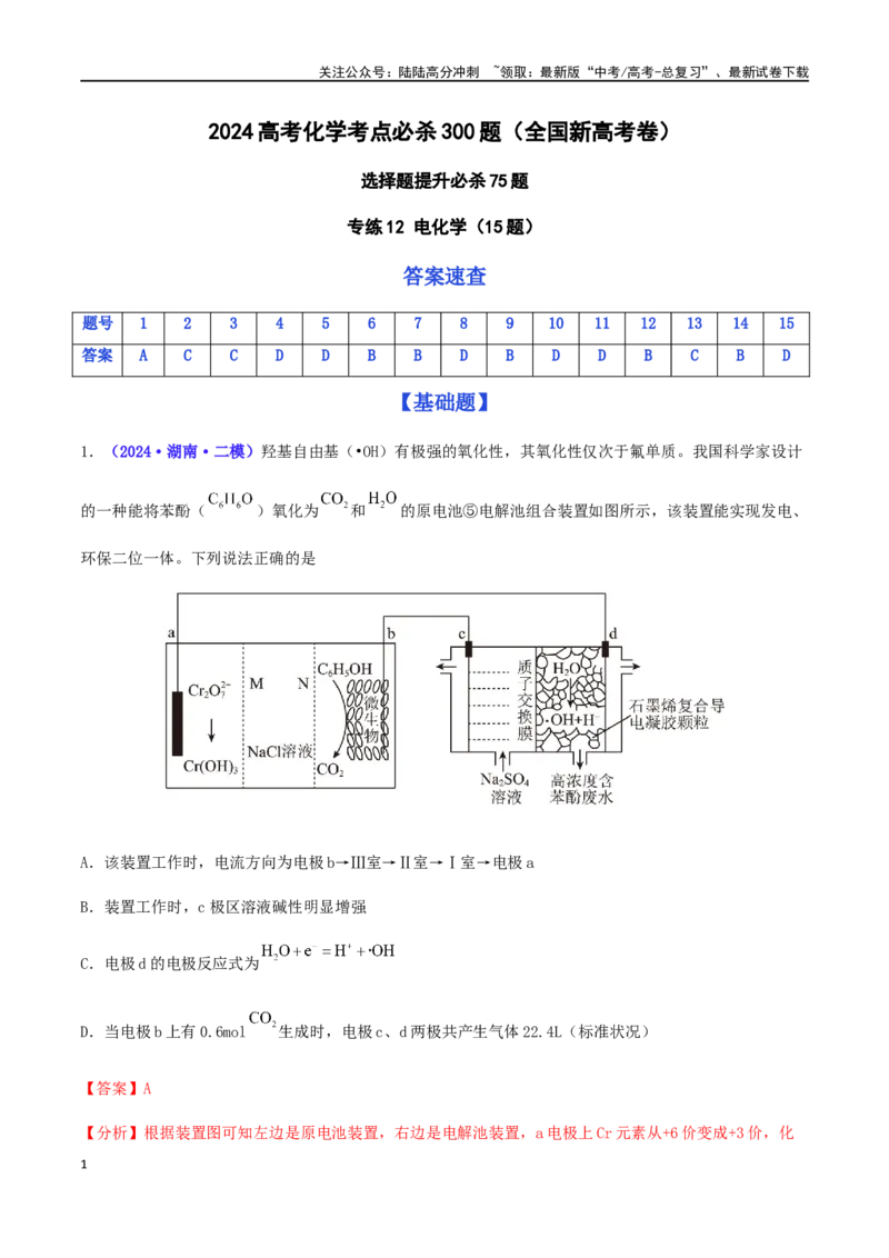 《专练12电化学（15题）-（解析版）_05-化学-高考总复习_专项复习_2024年_2024高考化学考点必杀300题（全国新高考卷）_资料》第1页预览