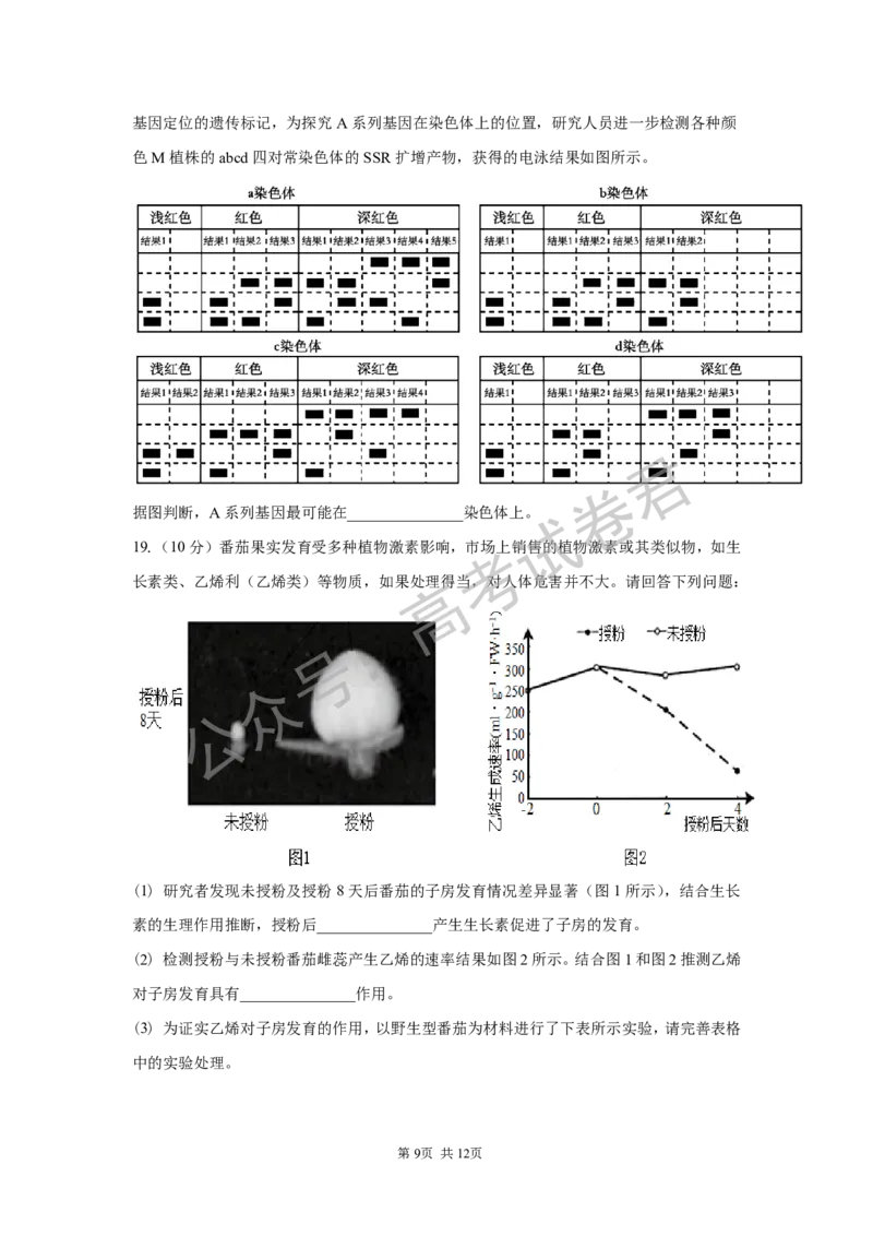 《05_生物_湖南长沙市一中广雅中学2026-2027年高三上学期开学考试_试卷+答案_小初高学习资料合集（每天更新）_湖南长沙市一中广雅中学2026-2027学年高三上学期开学考试》第9页预览