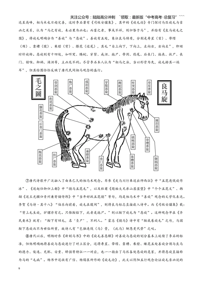 《专题02信息类文本阅读（论述类+实用类）（四川专用）（学生版）_专项复习_2026年-语文专项复习_2026年高考语文二模试题分类汇编（四川专用）-G282_2026版》第9页预览