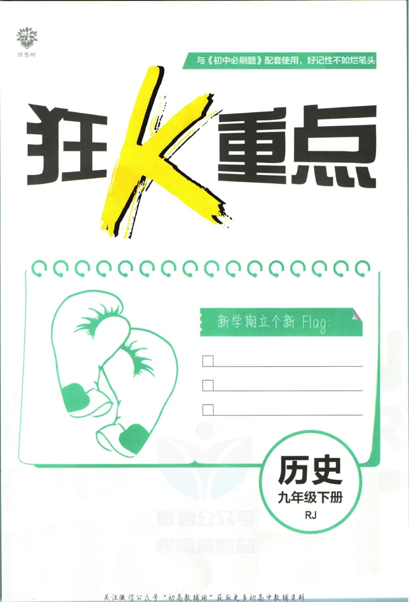 《初中必刷题九年级下册历史人教版狂K重点_2、2025初中必刷题合集_初中必刷题23+24+25上册_2023版》第3页预览