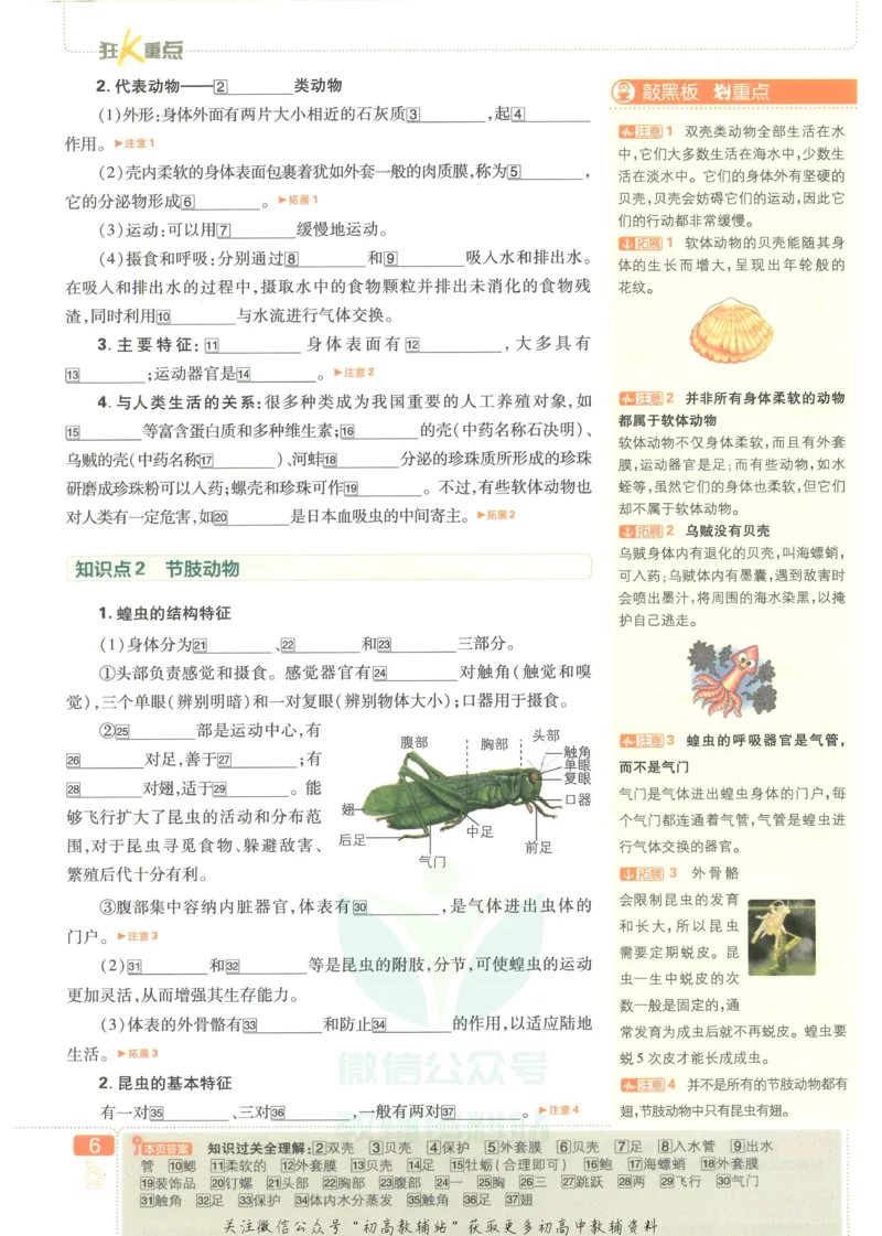 《初中必刷题八年级上册生物人教版狂K重点_2、2025初中必刷题合集_初中必刷题23+24+25上册_2023版》第10页预览