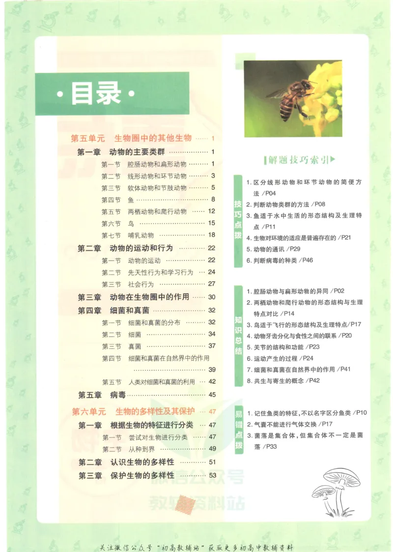 《初中必刷题八年级上册生物人教版狂K重点_2、2025初中必刷题合集_初中必刷题23+24+25上册_2023版》第4页预览