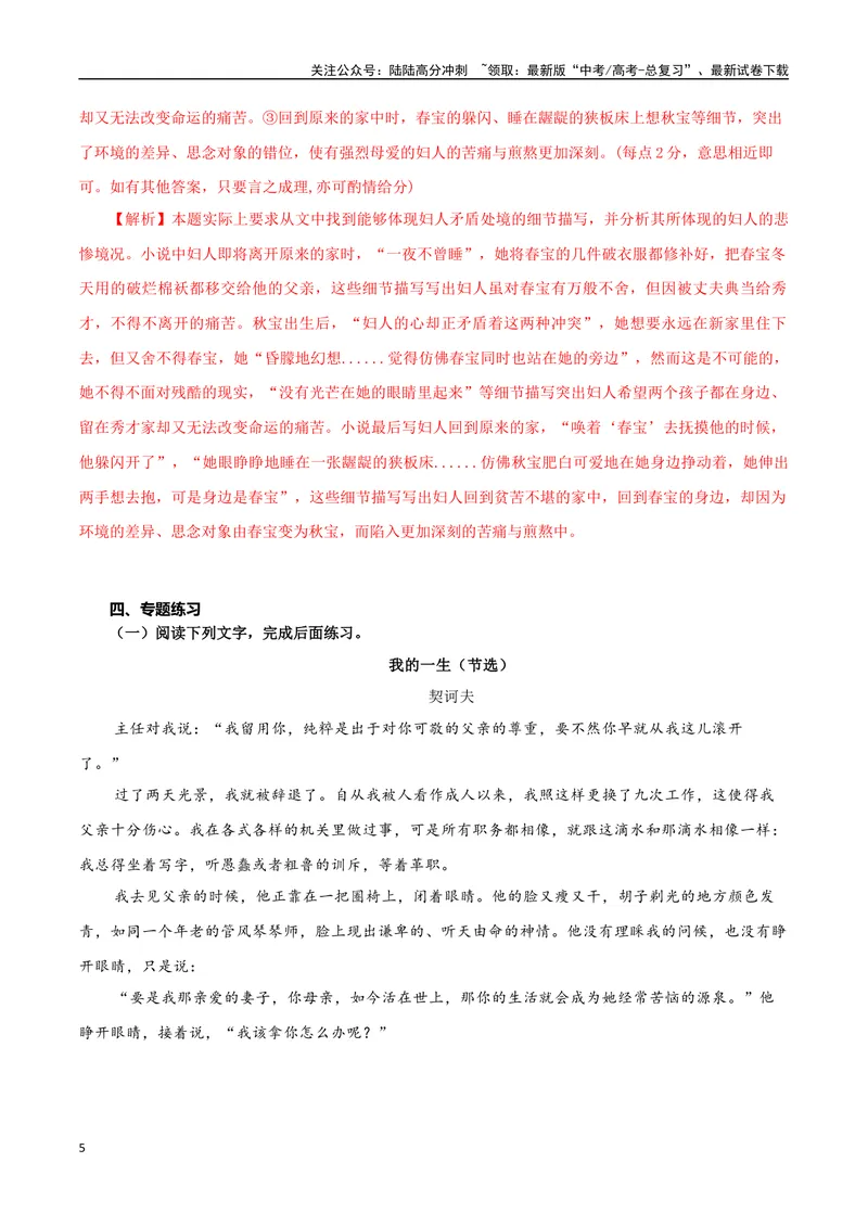 《专题05批判现实小说（教师版）-18页_二轮复习_2025年_2025年高考语文二轮复习小说阅读教考衔接微专题（十大文体流派）_资料》第5页预览