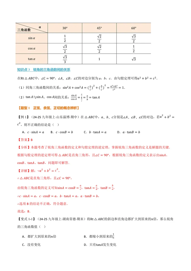 《专题23.1锐角的三角函数(讲义)(解析版)_2026语数英7-9年级上《举一反三系列》多版本_2026《初中数学•举一反三系列》9上多版本_2026《初中数学•举一反三系列》9上(沪科)》第2页预览