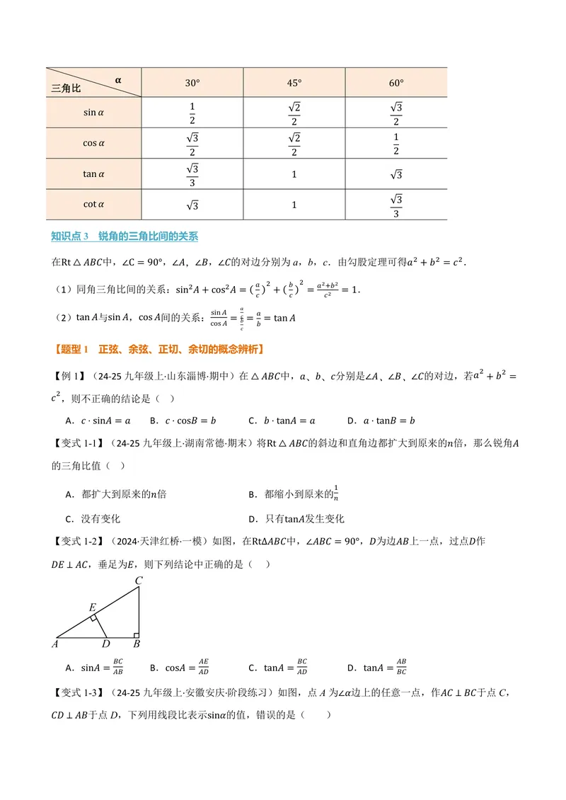《专题2.1锐角的三角比(讲义)(原卷版)_2026语数英7-9年级上《举一反三系列》多版本_2026《初中数学•举一反三系列》9上多版本_2026《初中数学•举一反三系列》9上(沪教)》第2页预览