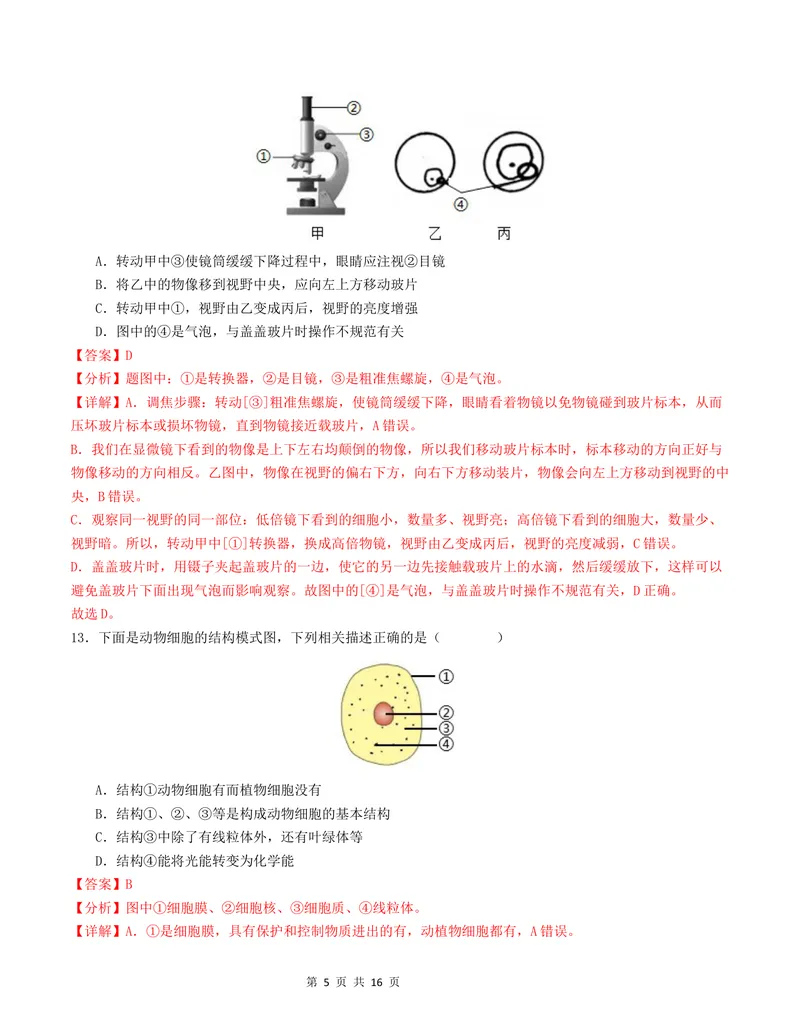 《七年级生物第一次月考卷01（全解全析）（人教版2024）_初中全科目《第一次月考试卷》7-9年级上册_2026版初中《第一次月考》7年级上册（八科全套）（人教、北师等多版本）_7年级生物上》第5页预览