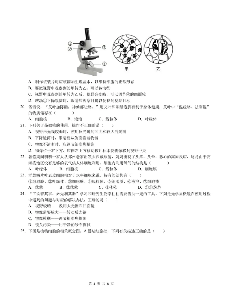 《七年级生物第一次月考卷（A4考试版）测试范围：七上第1-2章（北师大版2024）_初中全科目《第一次月考试卷》7-9年级上册_7年级生物上_北师版第一次月考》第4页预览