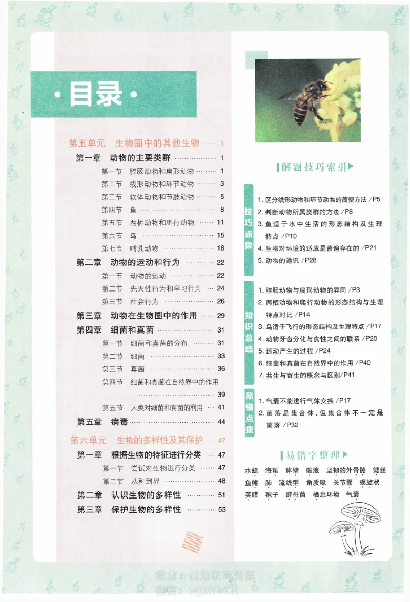 《初中必刷题八年级上册生物人教版狂K重点_2、2025初中必刷题合集_初中必刷题23+24+25上册_2024版（部分上册）》第1页预览
