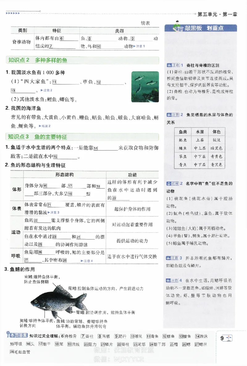 《初中必刷题八年级上册生物人教版狂K重点_2、2025初中必刷题合集_初中必刷题23+24+25上册_2024版（部分上册）》第10页预览