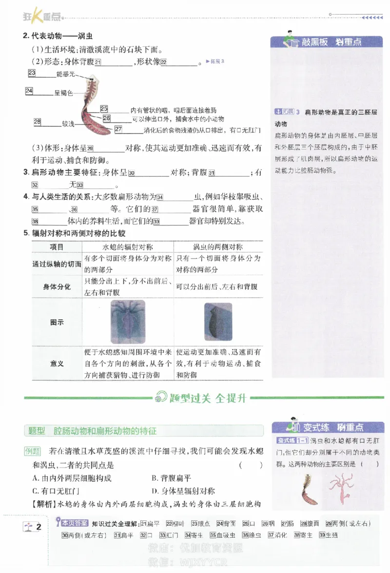 《初中必刷题八年级上册生物人教版狂K重点_2、2025初中必刷题合集_初中必刷题23+24+25上册_2024版（部分上册）》第3页预览