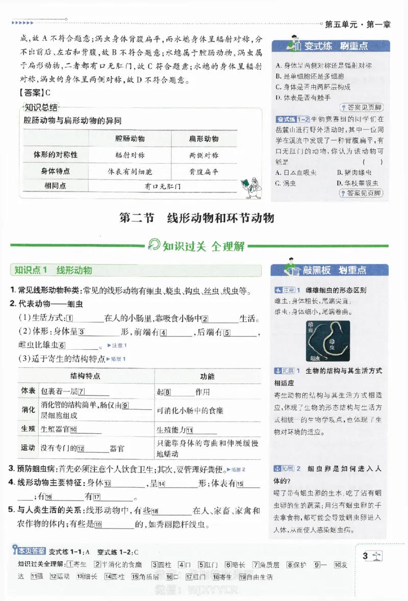 《初中必刷题八年级上册生物人教版狂K重点_2、2025初中必刷题合集_初中必刷题23+24+25上册_2024版（部分上册）》第4页预览