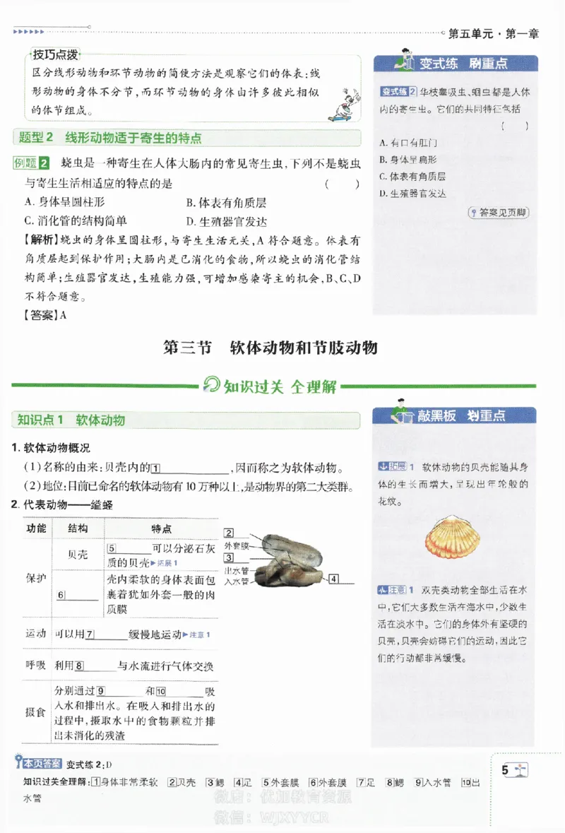 《初中必刷题八年级上册生物人教版狂K重点_2、2025初中必刷题合集_初中必刷题23+24+25上册_2024版（部分上册）》第6页预览