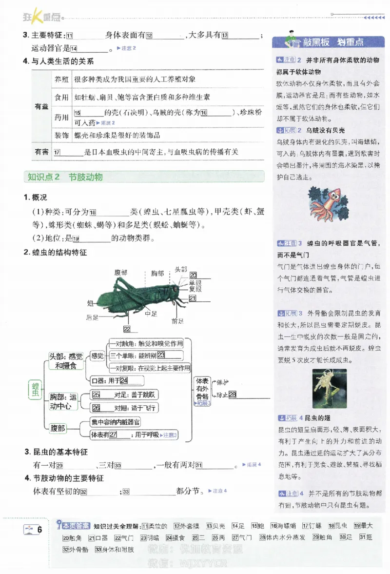 《初中必刷题八年级上册生物人教版狂K重点_2、2025初中必刷题合集_初中必刷题23+24+25上册_2024版（部分上册）》第7页预览