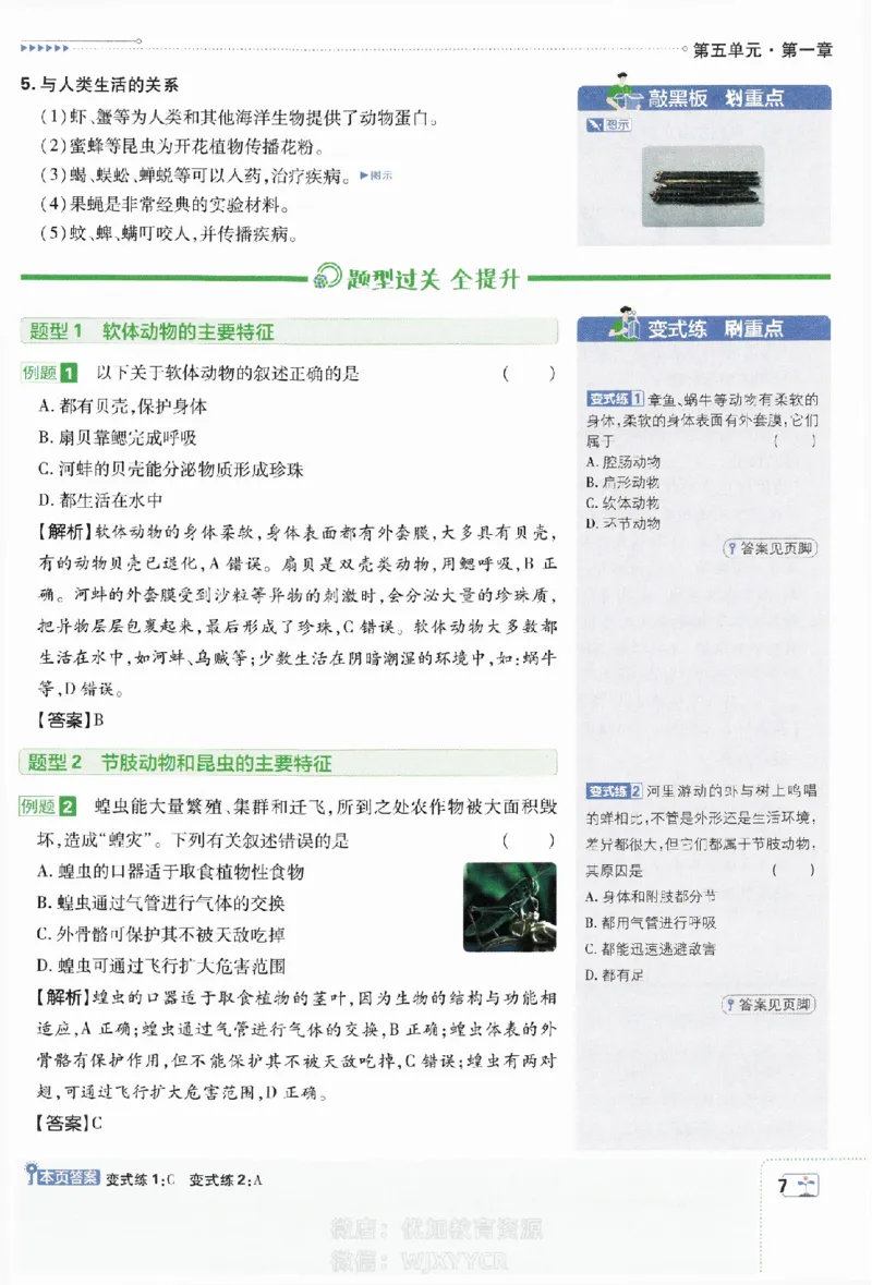 《初中必刷题八年级上册生物人教版狂K重点_2、2025初中必刷题合集_初中必刷题23+24+25上册_2024版（部分上册）》第8页预览