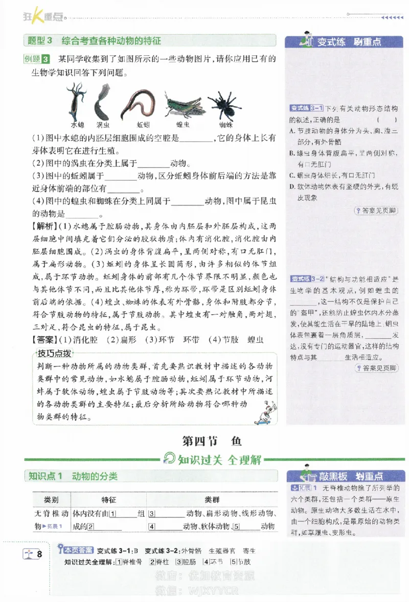 《初中必刷题八年级上册生物人教版狂K重点_2、2025初中必刷题合集_初中必刷题23+24+25上册_2024版（部分上册）》第9页预览