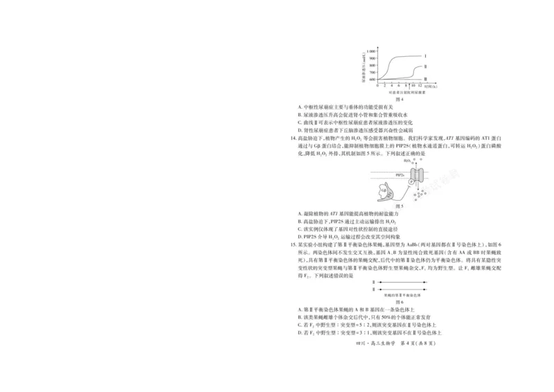 《2026届四川大数据智学领航联盟高三上学期开学考试生物试题（含答案）_副本_小初高学习资料合集（每天更新）_四川开学考2026届四川大数据智学领航联盟高三上学期开学考试全科》第4页预览