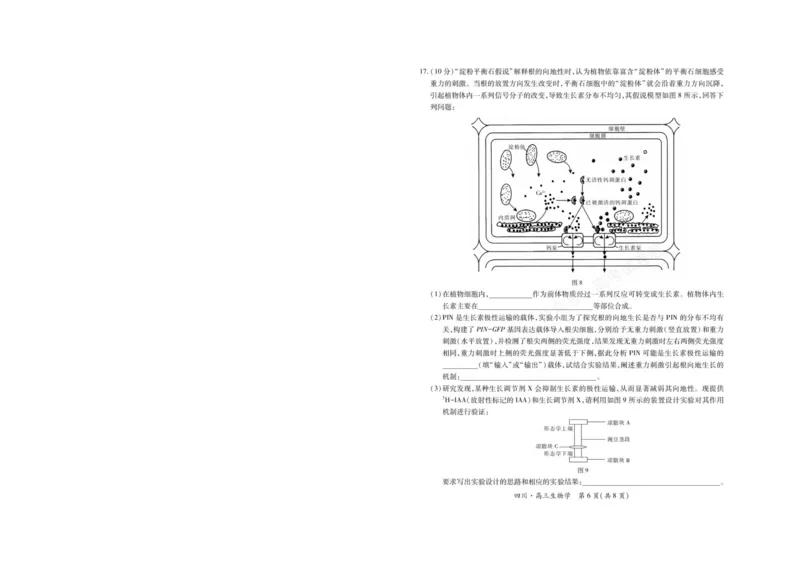 《2026届四川大数据智学领航联盟高三上学期开学考试生物试题（含答案）_副本_小初高学习资料合集（每天更新）_四川开学考2026届四川大数据智学领航联盟高三上学期开学考试全科》第6页预览