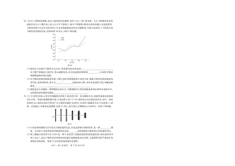《2026届四川大数据智学领航联盟高三上学期开学考试生物试题（含答案）_副本_小初高学习资料合集（每天更新）_四川开学考2026届四川大数据智学领航联盟高三上学期开学考试全科》第7页预览
