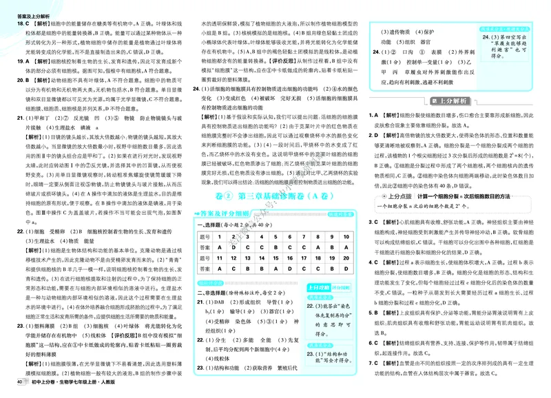 《2025秋初中上分卷生物7年级上册解析册_2026版初中7-9年级上册全科《初中上分卷》含答案，可下载_2026上分卷初中生物上册78（人教）》第4页预览
