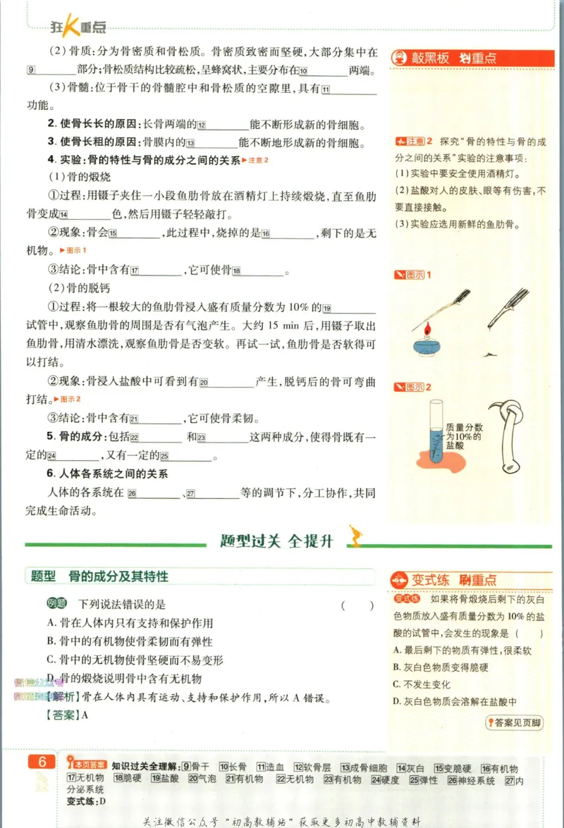 《初中必刷题七年级下册生物苏教版狂k重点_2、2025初中必刷题合集_初中必刷题23+24+25上册_2023版》第10页预览