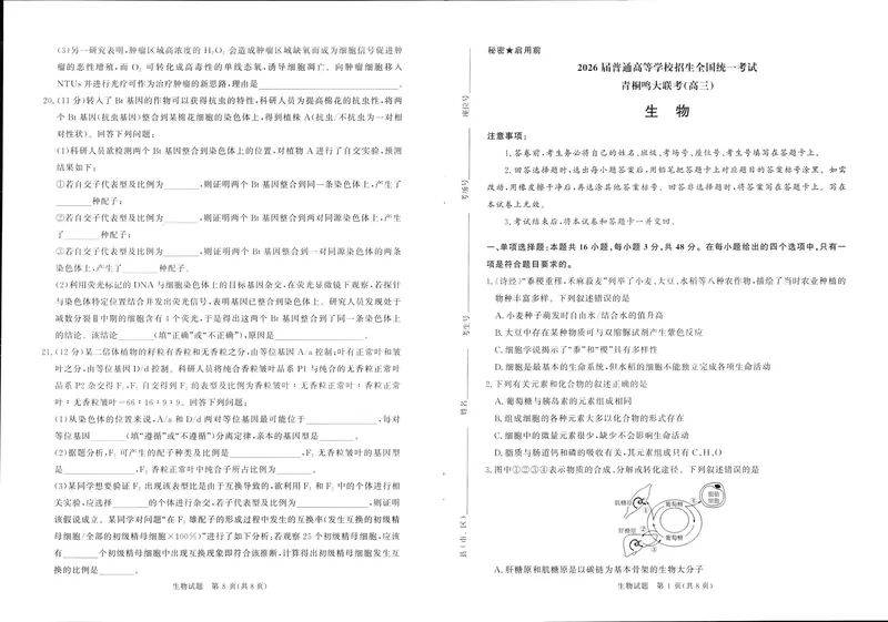 《青桐鸣大联考2025-2026学年高三上学期11月联考生物_2024-2027高三(6-6月题库)(1)_2025年11月高三试卷_251115河南省青桐鸣大联考2025-2026学年高三上学期11月联考(全)》第1页预览