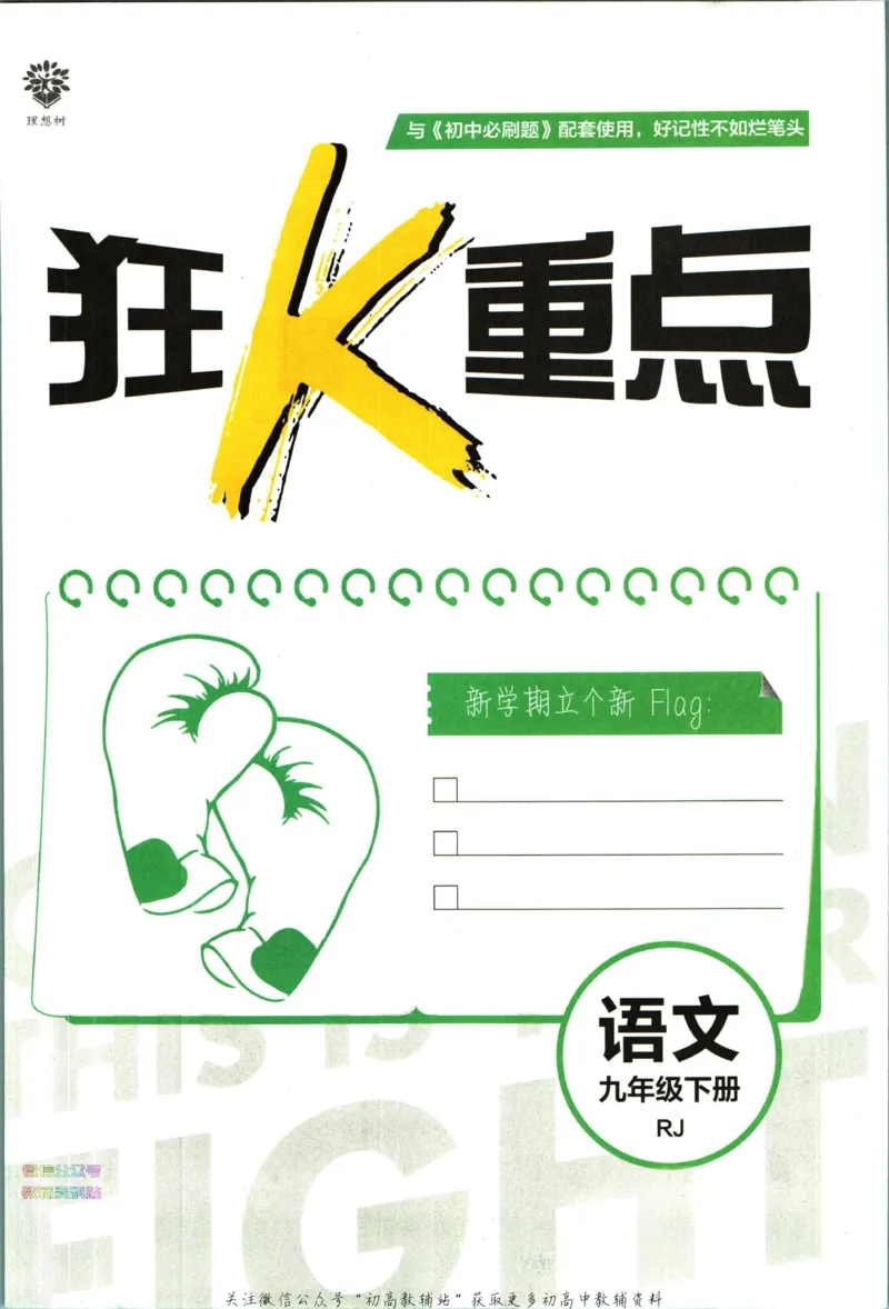 《初中必刷题九年级下册语文人教版狂k重点_2、2025初中必刷题合集_初中必刷题23+24+25上册_2023版》第3页预览