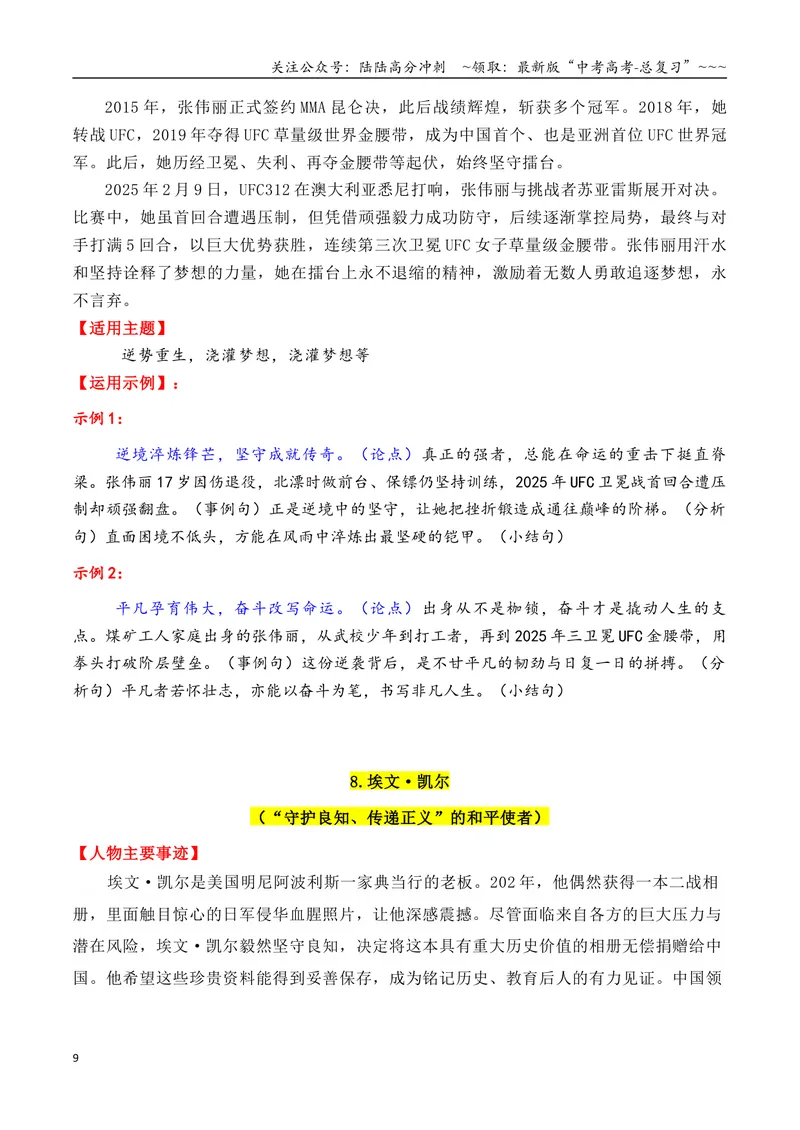 《专题012025年13个精选的热点人物素材积累与运用（单杏花+王德顺+孙颖莎+雷军+孙杨）_专项复习_2026年-语文专项复习_2026年高考语文议论文写作秘籍-G391_资料》第9页预览